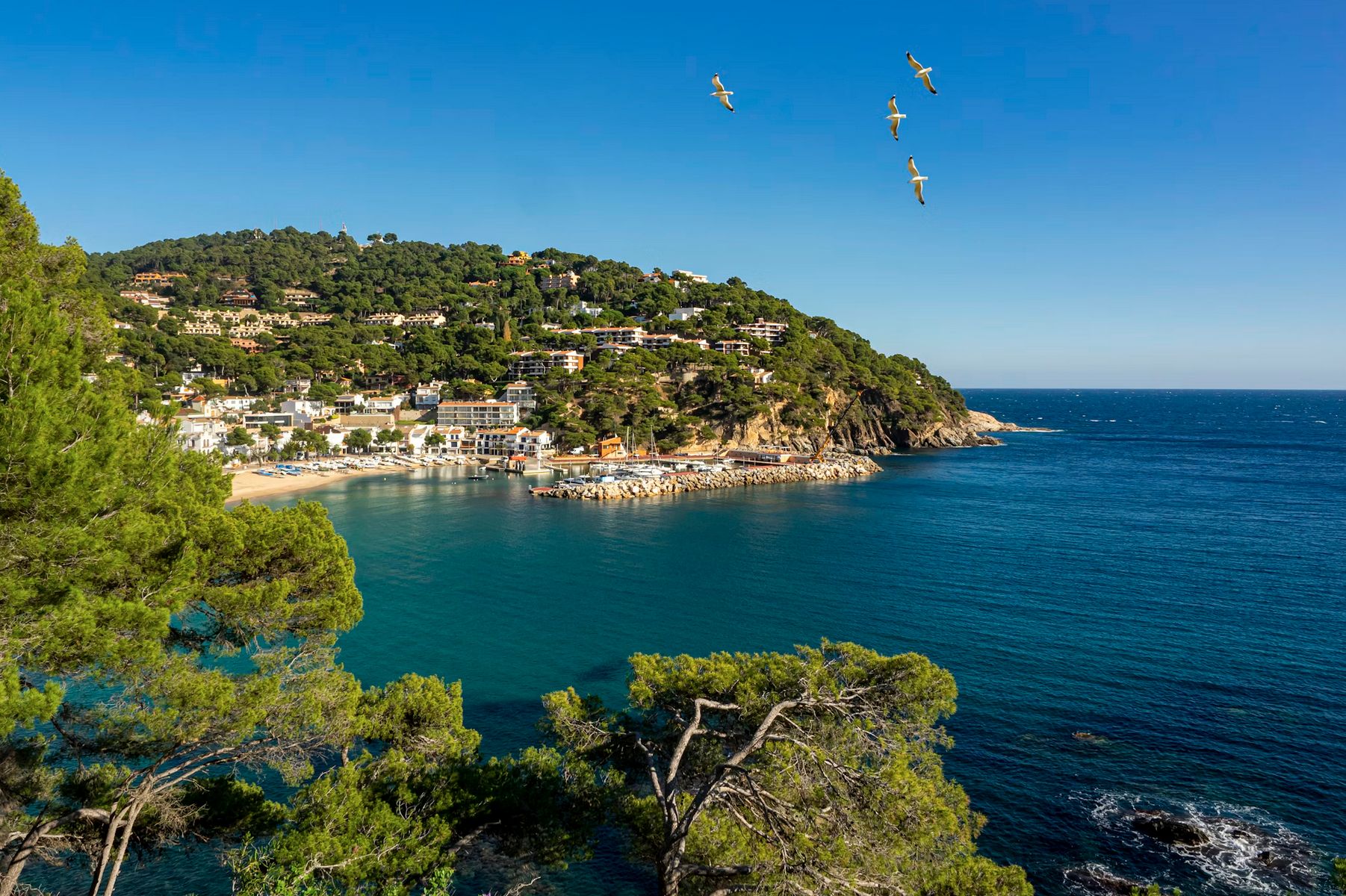 Manuel Torres Garcia, Costa Brava